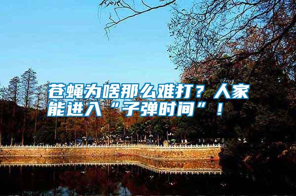 蒼蠅為啥那么難打？人家能進入“子彈時間”！