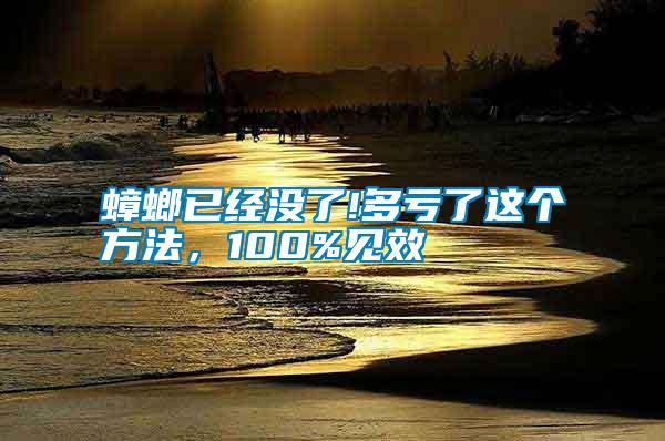 蟑螂已經(jīng)沒了!多虧了這個方法，100%見效