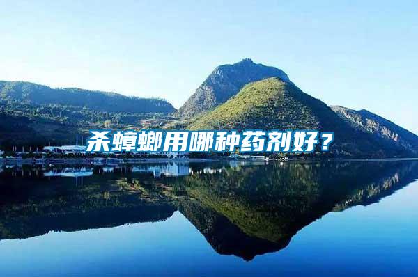 殺蟑螂用哪種藥劑好？
