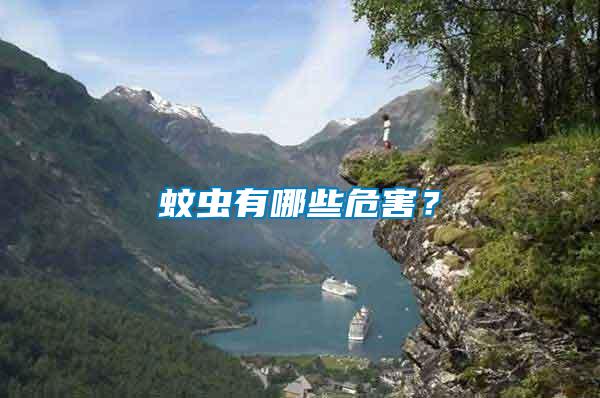 蚊蟲有哪些危害？
