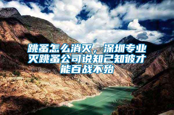 跳蚤怎么消滅，深圳專業(yè)滅跳蚤公司說知己知彼才能百戰(zhàn)不殆