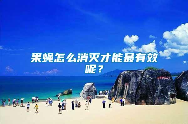 果蠅怎么消滅才能最有效呢？
