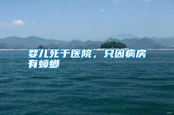 嬰兒死于醫(yī)院，只因病房有蟑螂