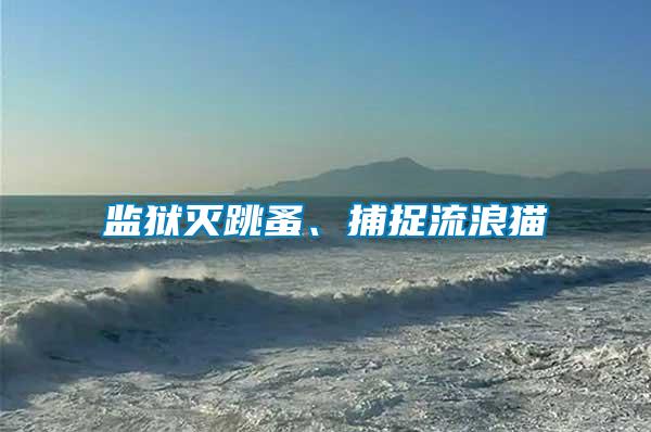 監獄滅跳蚤、捕捉流浪貓