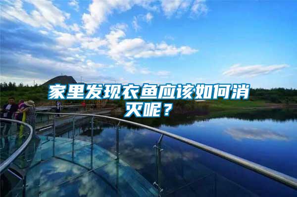 家里發現衣魚應該如何消滅呢？