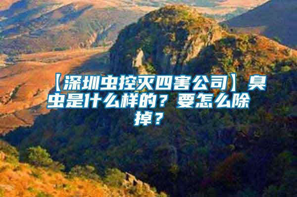【深圳蟲控滅四害公司】臭蟲是什么樣的？要怎么除掉？