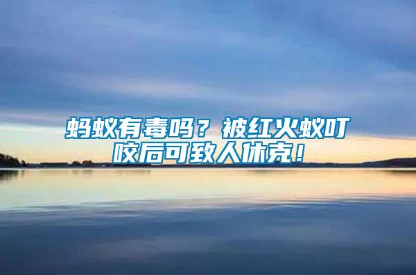 螞蟻有毒嗎？被紅火蟻叮咬后可致人休克！