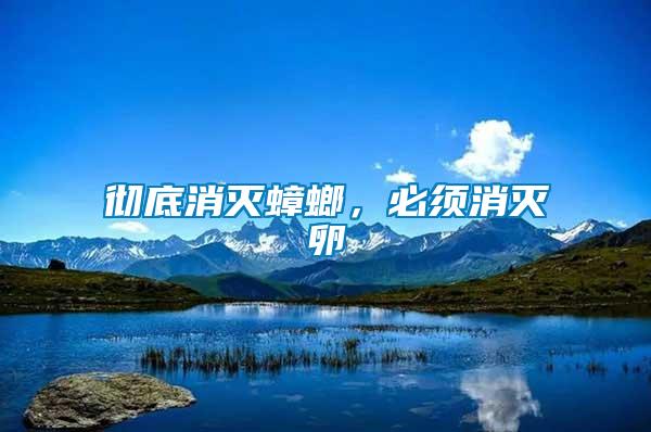 徹底消滅蟑螂，必須消滅卵