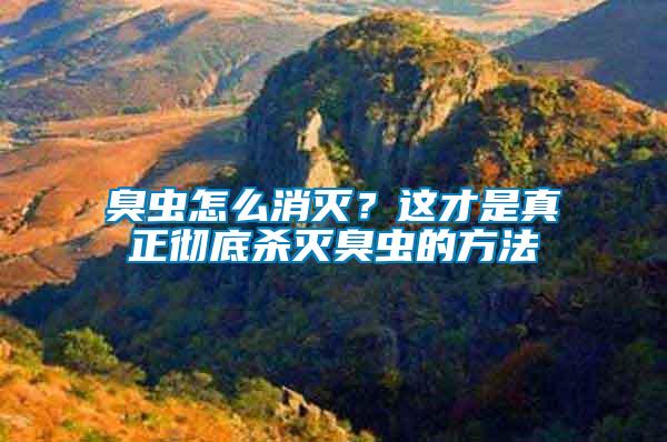 臭蟲怎么消滅？這才是真正徹底殺滅臭蟲的方法
