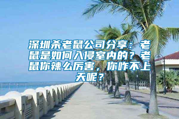 深圳殺老鼠公司分享：老鼠是如何入侵室內(nèi)的？老鼠你辣么厲害，你咋不上天呢？