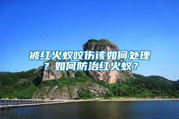 被紅火蟻咬傷該如何處理？如何防治紅火蟻？