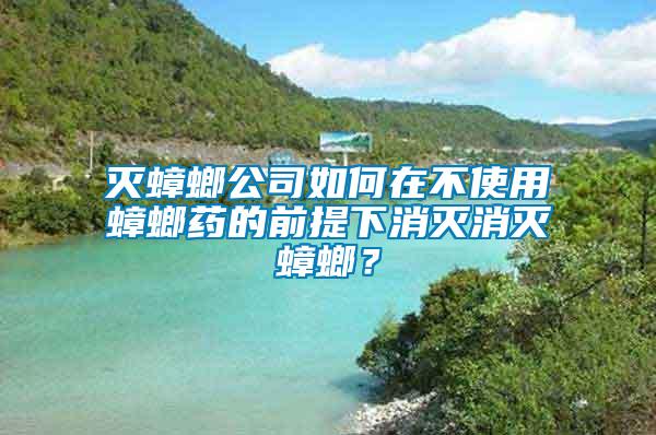 滅蟑螂公司如何在不使用蟑螂藥的前提下消滅消滅蟑螂？