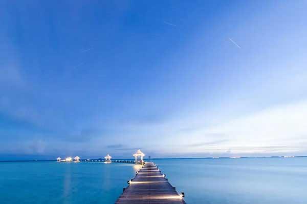 速覽臭蟲的生理習(xí)性、危害及防制方法！