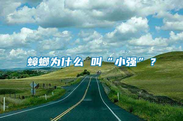 蟑螂為什么 叫“小強(qiáng)”？
