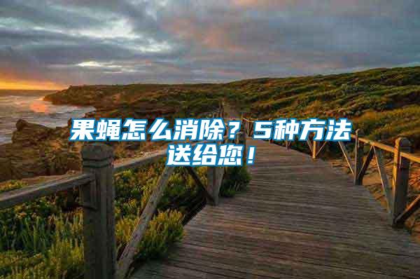 果蠅怎么消除？5種方法送給您！