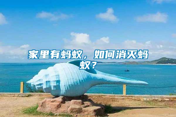 家里有螞蟻，如何消滅螞蟻？
