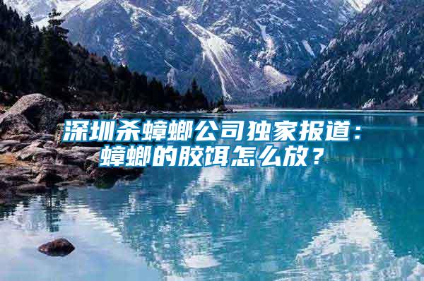 深圳殺蟑螂公司獨家報道：蟑螂的膠餌怎么放？