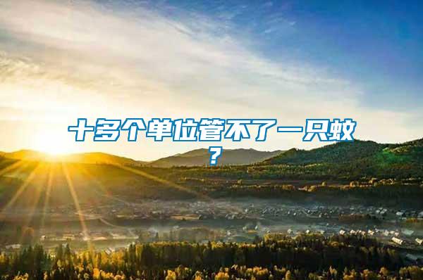 十多個單位管不了一只蚊？