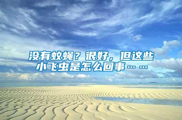 沒有蚊蠅？很好，但這些小飛蟲是怎么回事……