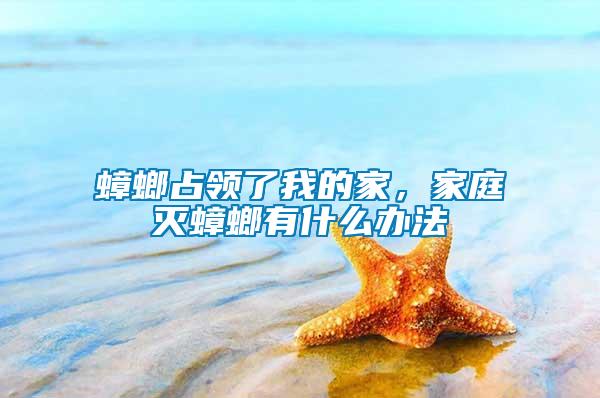 蟑螂占領(lǐng)了我的家，家庭滅蟑螂有什么辦法