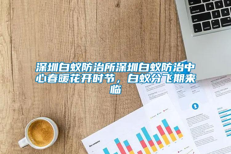 深圳白蟻防治所深圳白蟻防治中心春暖花開時節，白蟻分飛期來臨