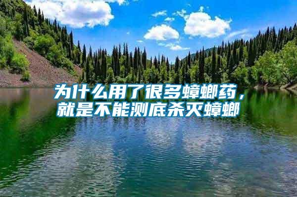 為什么用了很多蟑螂藥，就是不能測底殺滅蟑螂