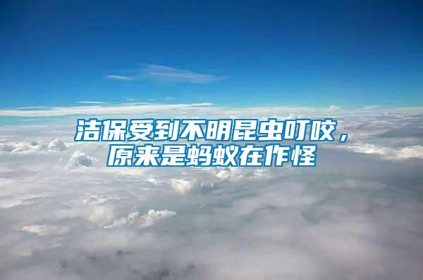 潔保受到不明昆蟲叮咬，原來是螞蟻在作怪