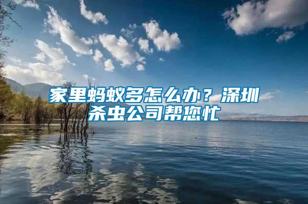 家里螞蟻多怎么辦？深圳殺蟲公司幫您忙