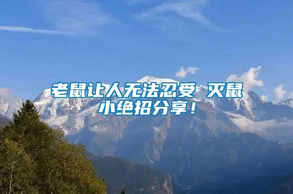 老鼠讓人無法忍受 滅鼠小絕招分享！