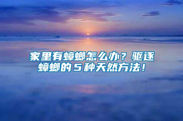 家里有蟑螂怎么辦？驅逐蟑螂的５種天然方法！