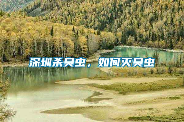 深圳殺臭蟲(chóng)，如何滅臭蟲(chóng)