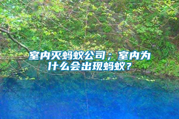 室內(nèi)滅螞蟻公司；室內(nèi)為什么會(huì)出現(xiàn)螞蟻？