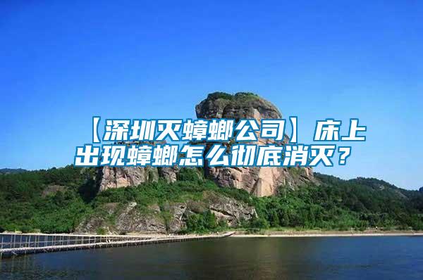 【深圳滅蟑螂公司】床上出現蟑螂怎么徹底消滅？