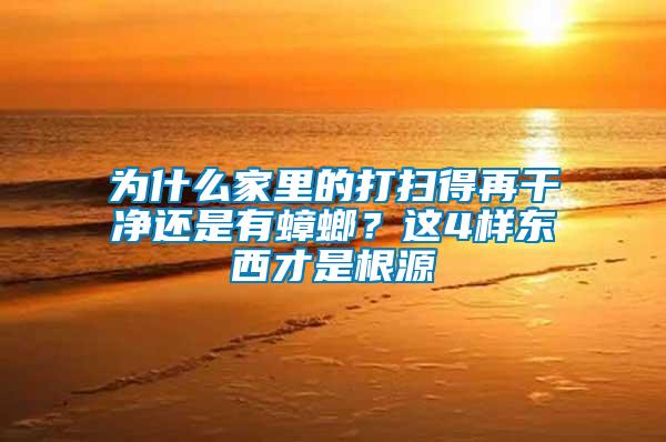 為什么家里的打掃得再干凈還是有蟑螂？這4樣東西才是根源