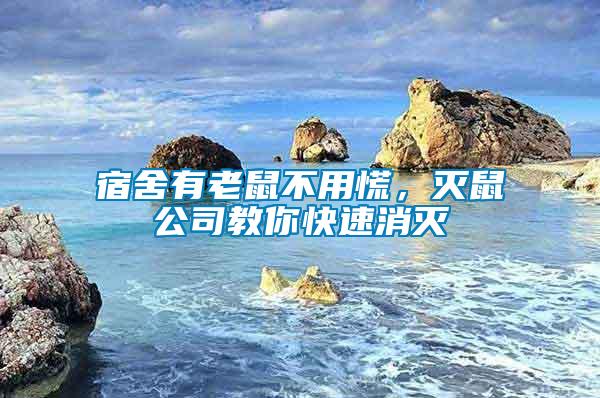 宿舍有老鼠不用慌，滅鼠公司教你快速消滅