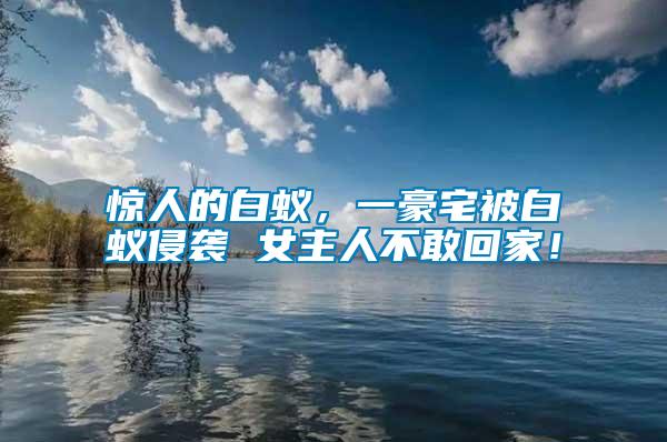 驚人的白蟻，一豪宅被白蟻侵襲 女主人不敢回家！