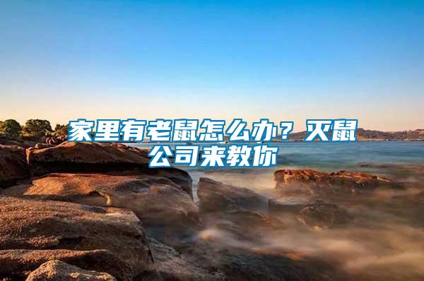 家里有老鼠怎么辦？滅鼠公司來教你