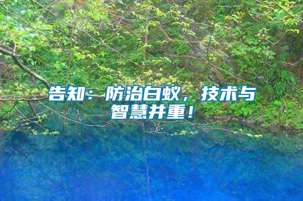 告知：防治白蟻，技術與智慧并重！
