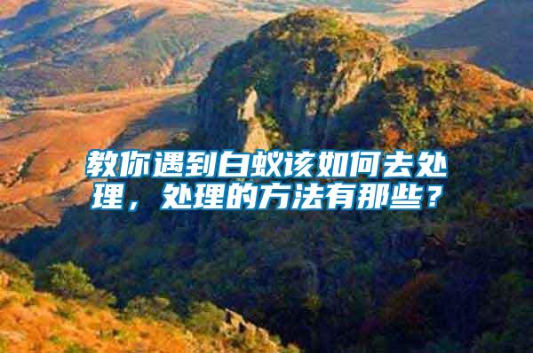 教你遇到白蟻該如何去處理，處理的方法有那些？
