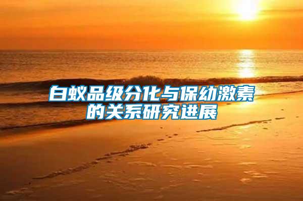 白蟻品級分化與保幼激素的關(guān)系研究進展