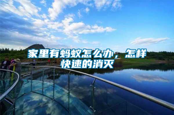 家里有螞蟻怎么辦，怎樣快速的消滅