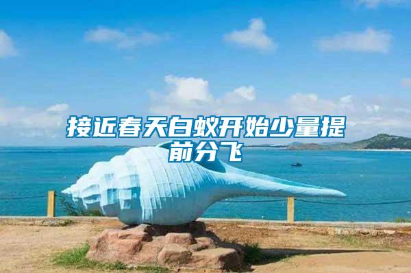 接近春天白蟻開(kāi)始少量提前分飛
