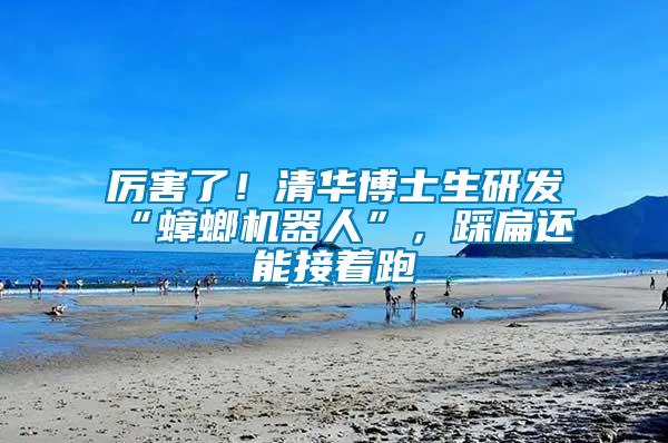 厲害了！清華博士生研發“蟑螂機器人”，踩扁還能接著跑