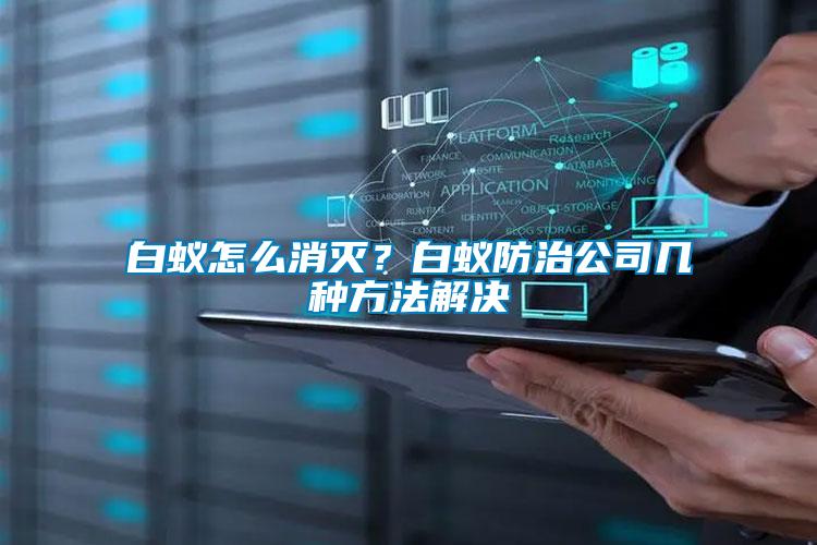 白蟻怎么消滅？白蟻防治公司幾種方法解決
