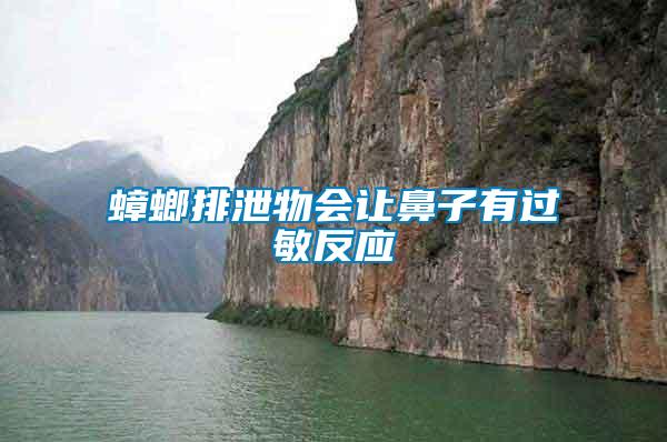 蟑螂排泄物會(huì)讓鼻子有過(guò)敏反應(yīng)