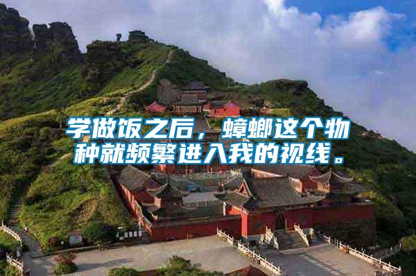 學(xué)做飯之后，蟑螂這個物種就頻繁進(jìn)入我的視線。
