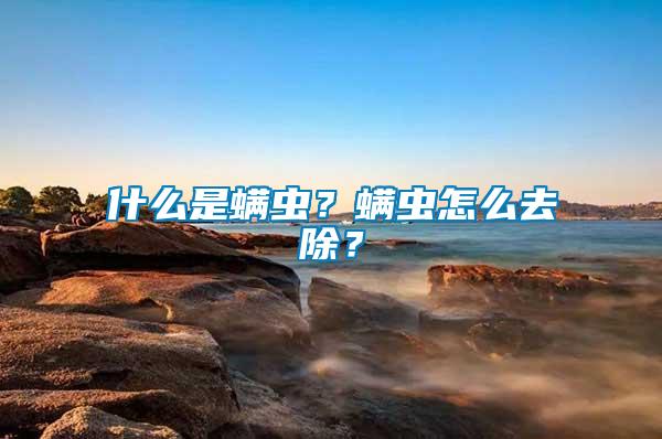 什么是螨蟲？螨蟲怎么去除？