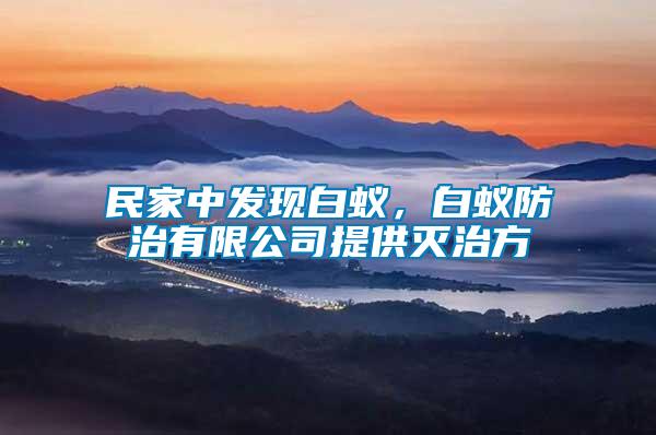 民家中發現白蟻，白蟻防治有限公司提供滅治方