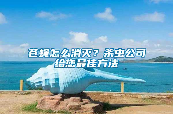 蒼蠅怎么消滅？殺蟲公司給您最佳方法