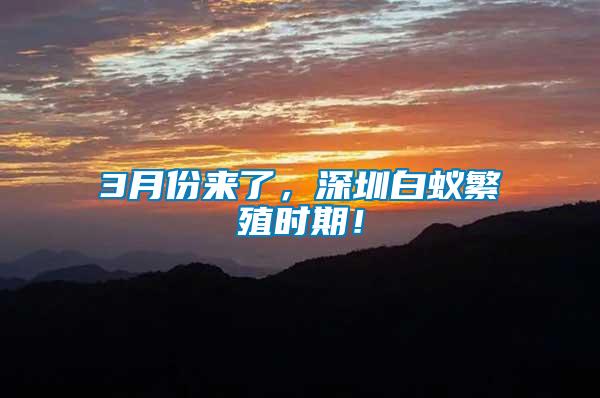 3月份來了，深圳白蟻繁殖時(shí)期！